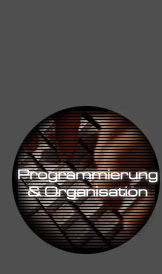 Programmierung & Organisation